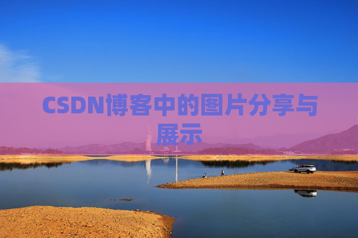 CSDN博客中的图片分享与展示